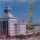 陕西省渭南市 《富平县志》1994版.pdf下载