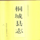 安徽省安庆市 《桐城县志》1995版（桐城市）