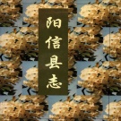 山东省滨州市 《阳信县志》199版