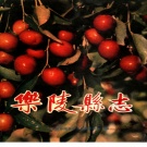 山东省德州市 《 乐陵县志》1991版（乐陵市）