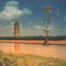 山东省聊城市 《临清市志》1997版