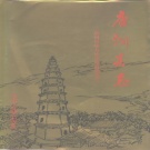 河南省南阳市 《唐河县志》1993版
