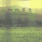 河南省南阳市 《桐柏县志》1995版