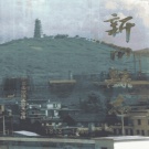 湖南省永州市 《新田县志》1995年出版