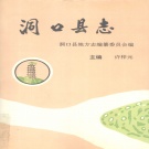 湖南省邵阳市 《洞口县志》1992年出版