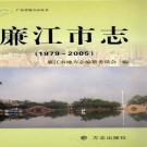 广东省湛江市 《廉江市志1979-2005》2012版_p1171