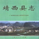 广西省百色市 《靖西县志》2000版_p901（靖西市）.pdf下载
