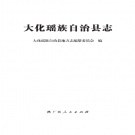 广西省河池市 《大化瑶族自治县志》2016版_P1110.pdf下载