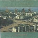 广西省来宾市《 武宣县志》1994版.pdf下载