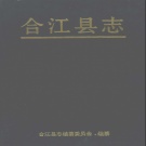 四川省泸州市 《合江县志》1993版.pdf下载