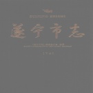 四川省遂宁市 《遂宁市志》下册 2006版.pdf下载