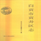 四川省自贡市 《贡井区志》1995版.pdf下载