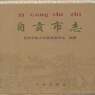 四川省自贡市 《自贡市志》下 1997版.pdf下载