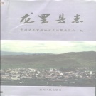 贵州省黔南布依族苗族自治州 《龙里县志》1995版.pdf下载