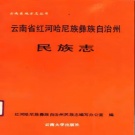 云南省红河哈尼族彝族自治州 《云南省红河哈尼族彝族自治州民族志》1989版.pdf下载