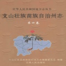 云南省文山壮族苗族自治州 《文山壮族苗族自治州志 第4卷》 2001版.pdf下载