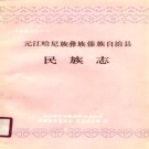 云南省玉溪市 《元江哈尼族彝族傣族自治县民族志》1990版.pdf下载