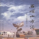 宁夏石嘴山市 《石嘴山市志》上册 2001版.pdf下载