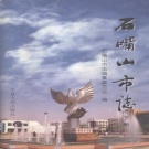 宁夏石嘴山市 《石嘴山市志》下册 2001版.pdf下载