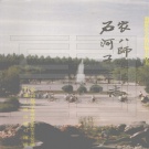 新疆石河子市 《石河子市志》1994版.pdf下载