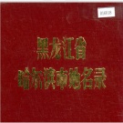 黑龙江省地名志目录pdf下载