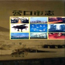 辽宁省营口市 《营口市志 第三卷 工业 综合管理 外经外贸》2001版_P560