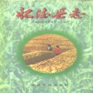 吉林省四平市 《怀德县志》1996版（公主岭市志）