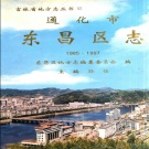 吉林省通化市 《通化市东昌区志 1985-1997》2002年_p699