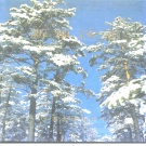 黑龙江省大兴安岭地区 《新林区志1965-1988》1990版_p577