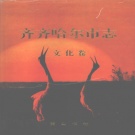 黑龙江省齐齐哈尔市 《齐齐哈尔市志·文化卷》1999版_p802