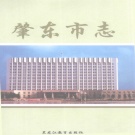 黑龙江省绥化市 《肇东市志1982-2000》2008版_p717