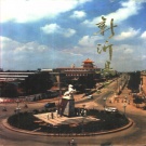 江苏省徐州市 《新沂县志》1995版（新沂市志）